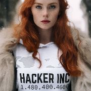 Hacker Inc